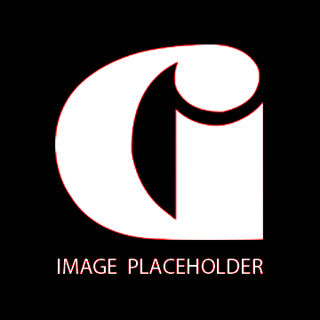 GI Gallery Placeholder Image 2 GI Gallery Placeholder Image 2
