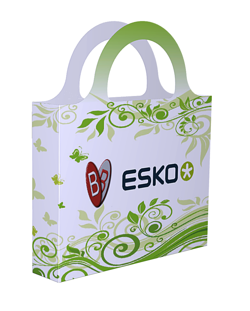 Custom Esko box